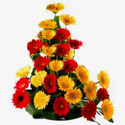 Basket of Mixed Color Gerbera